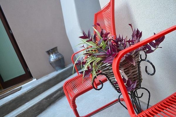 Bed and Breakfast La Salvia E Il Lampone à Pove del Grappa Extérieur photo